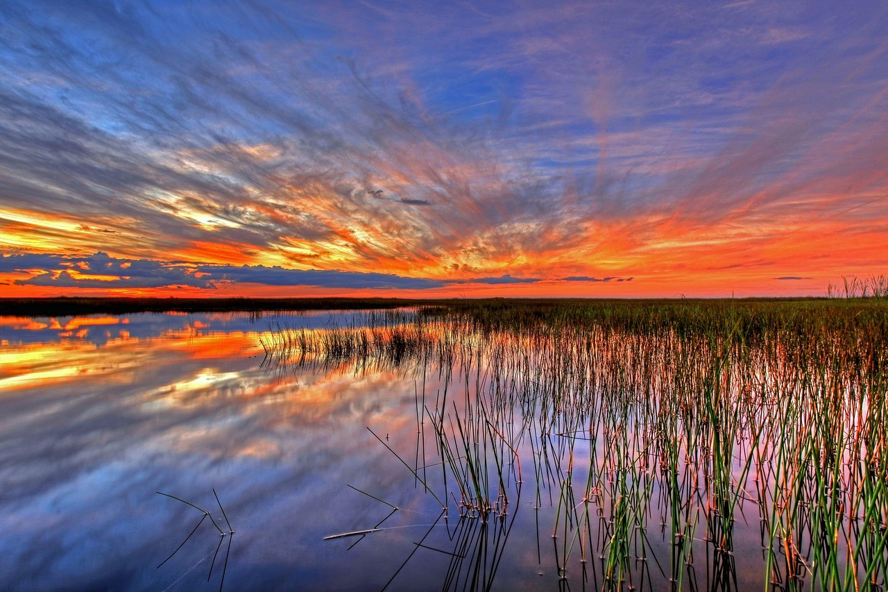 What are the Advantages and the Disadvantages of Living in Jacksonville, Florida?